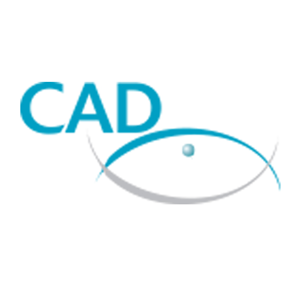 Cadvision Toulouse